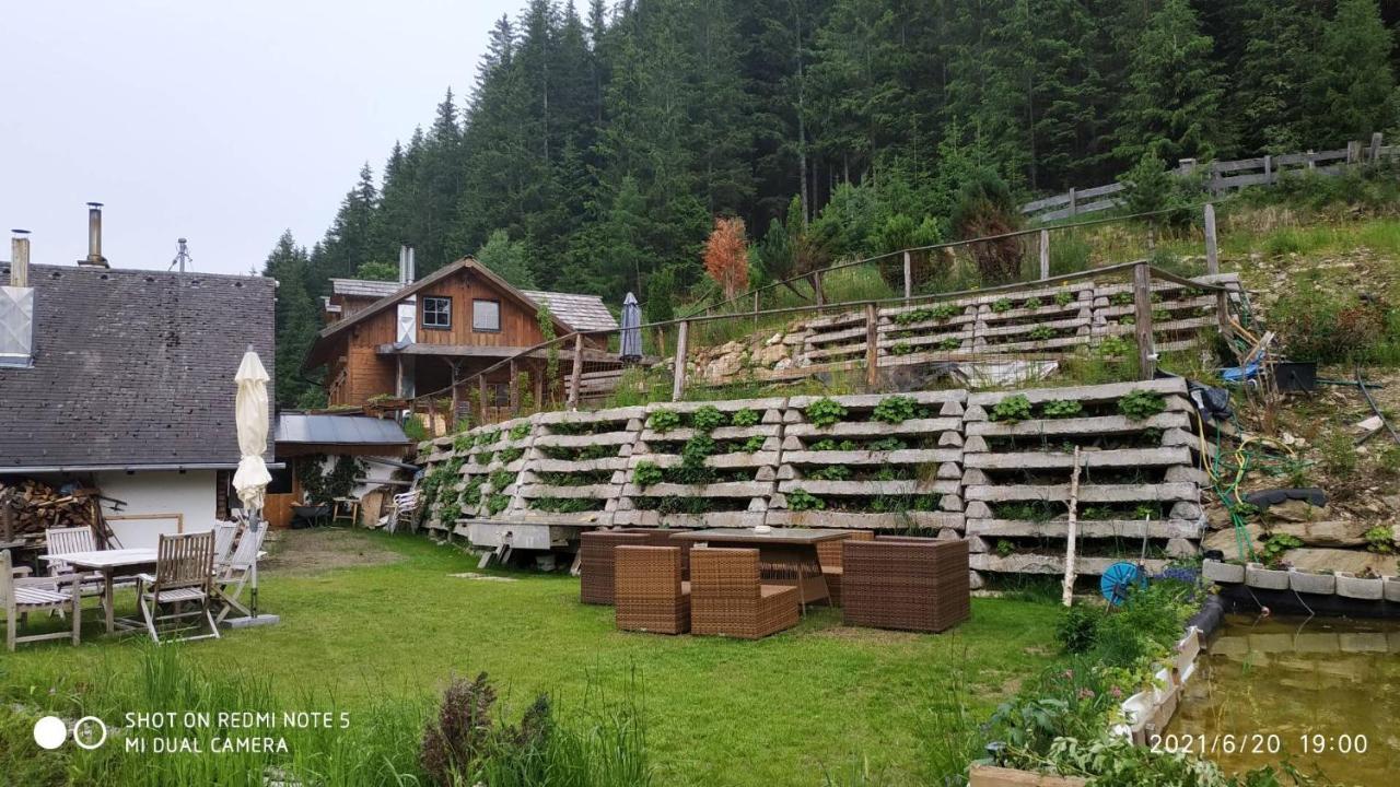 Chalet Steiermark Pusterwald 外观 照片