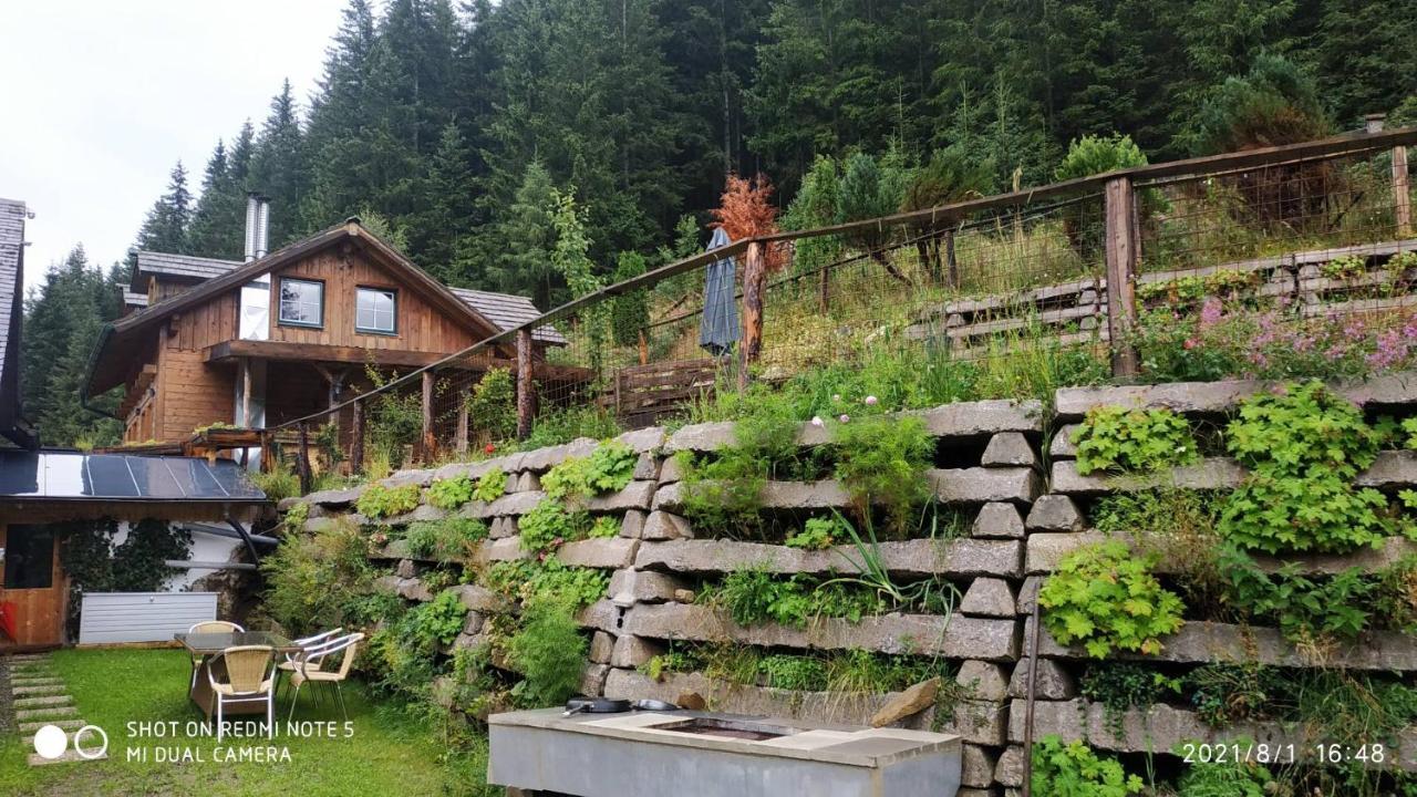 Chalet Steiermark Pusterwald 外观 照片