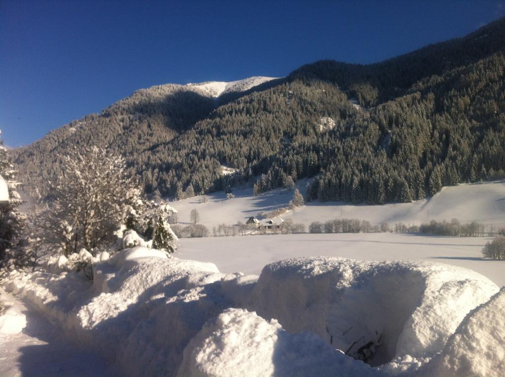 Chalet Steiermark Pusterwald 客房 照片